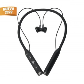 aud-038-n_4